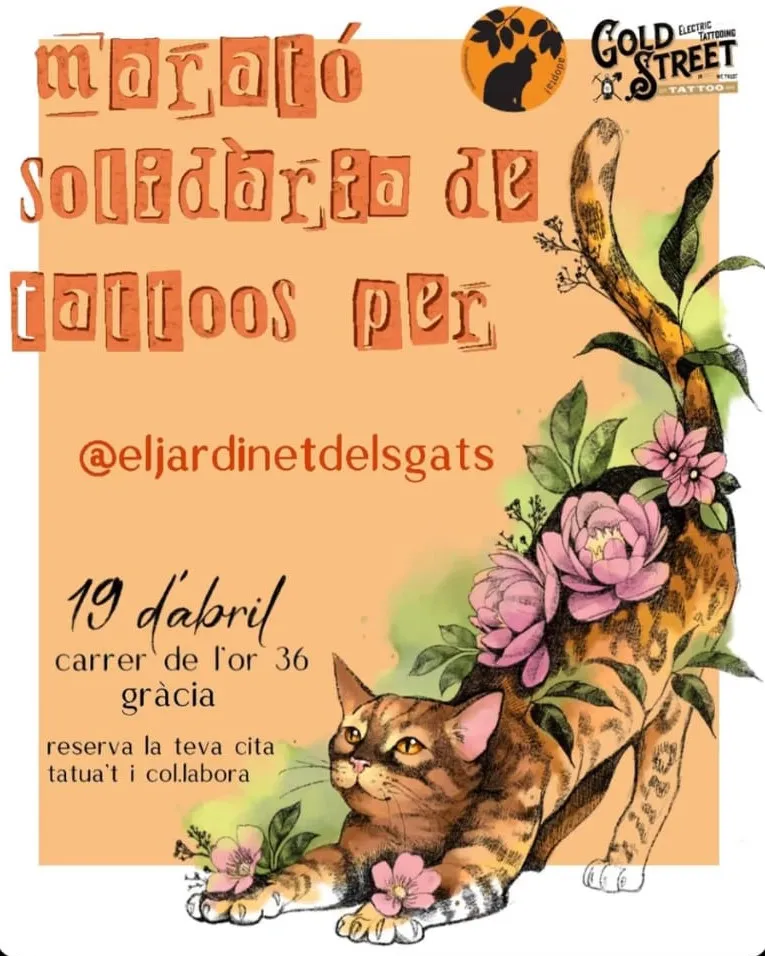Cartell de la marató amb un dibuix d'un gat