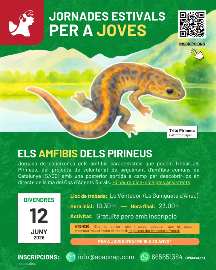 Cartell oficial de les 'Jornades per a joves: Els Amfibis dels Pirineus'.