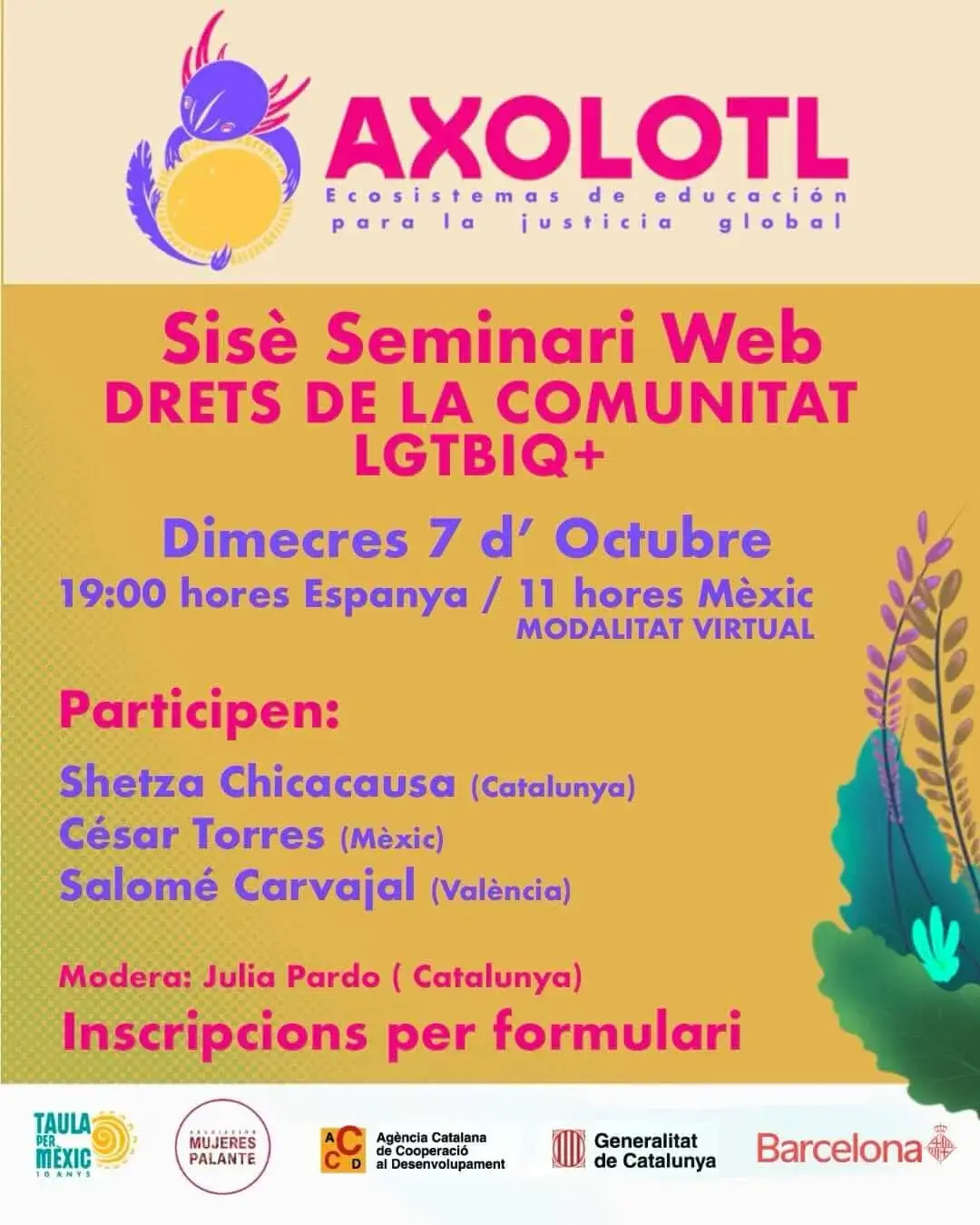 Cartell oficial de l'acte 6è seminari web d’Axolotl | Drets LGBTIQ+.