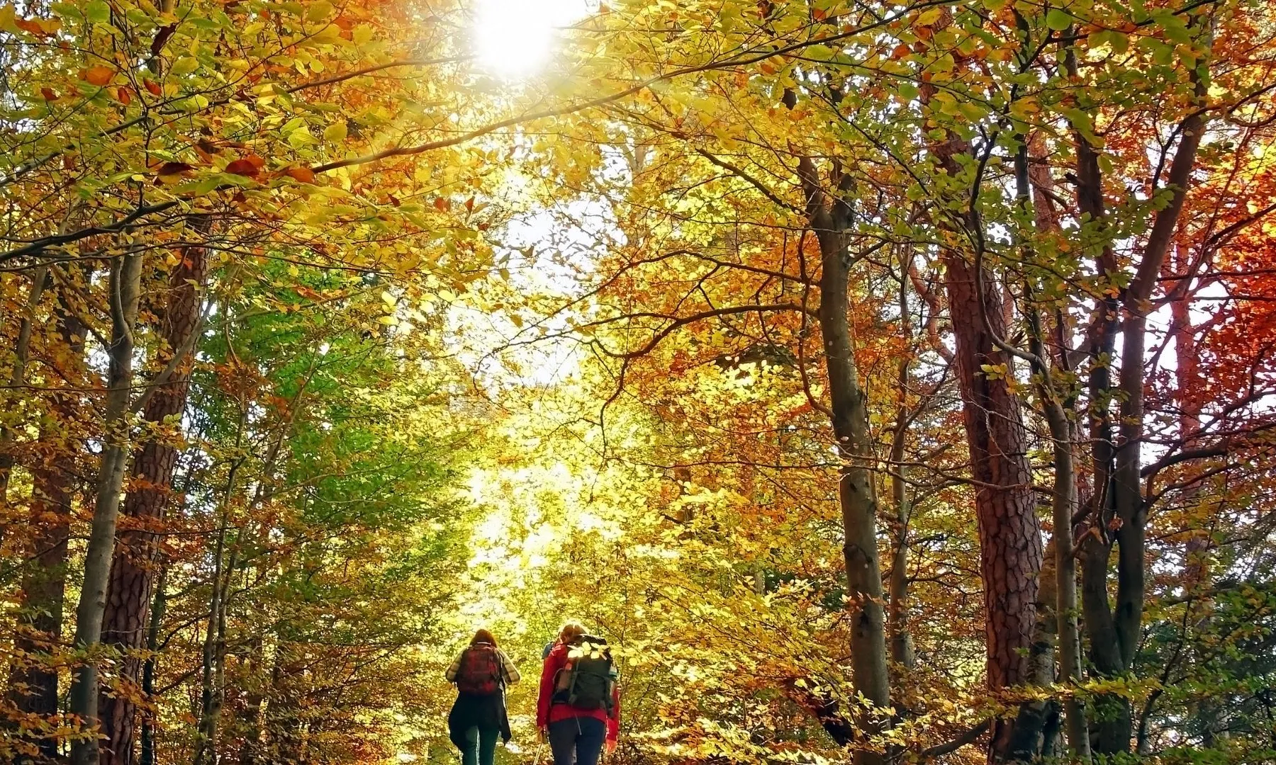 Dues persones que caminen.