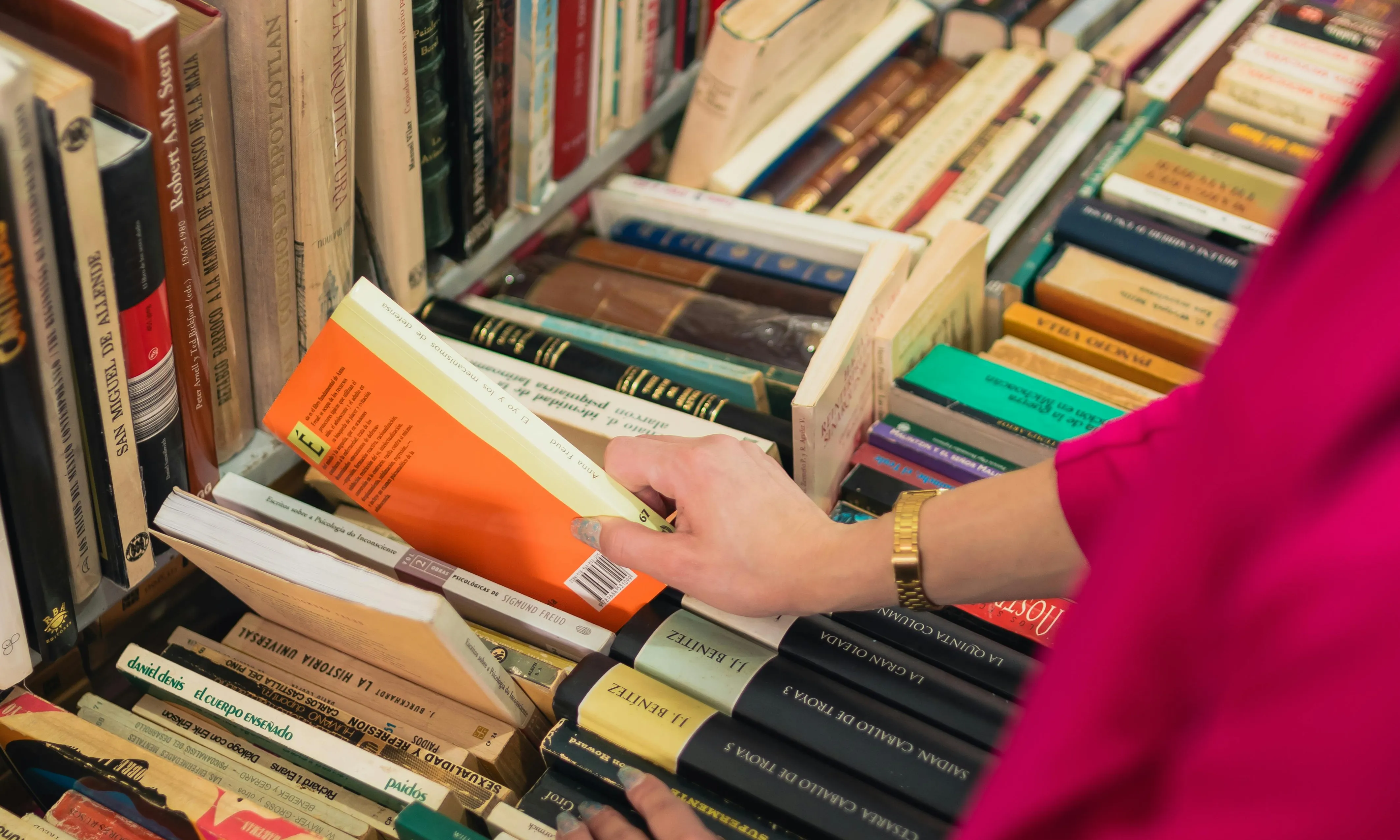 L'esdeveniment vol donar una nova mirada més inclusiva a la diada de Sant Jordi. Font: Pexels