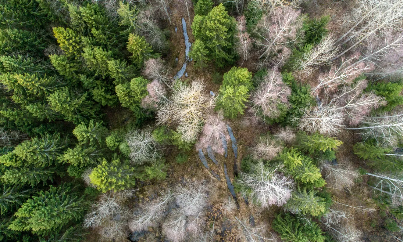 Recollim en un vídeo infogràfic les deu demandes del manifest ‘La natura no pot esperar’.