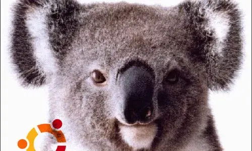 Imatge del sistema operatiu Ubuntu Karnik Koala
