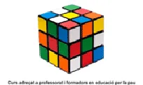 Cartell del curs