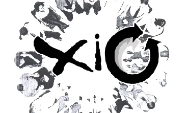 Imatge de la XIC Girona