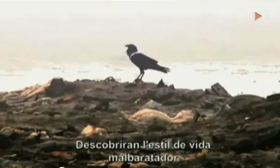 Fotograma del documental