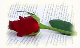 Rosa i llibre