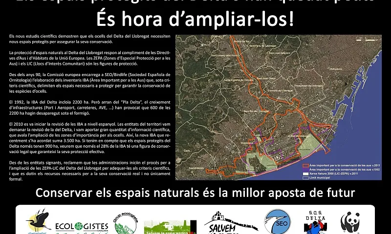 Els ocells del Delta necessiten més espai protegit