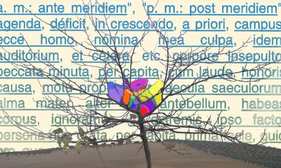 Il·lustració de Juanjo Caro: http://yunquedepapel.blogspot.com/