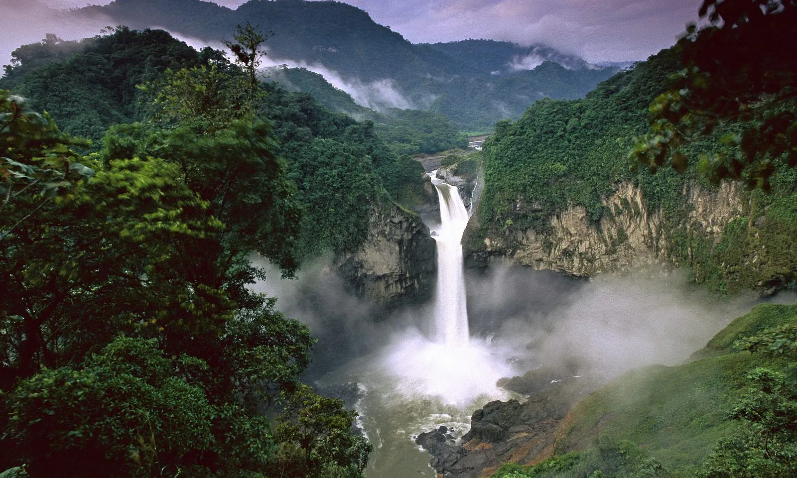 Perill de destrucció a l'Amazones