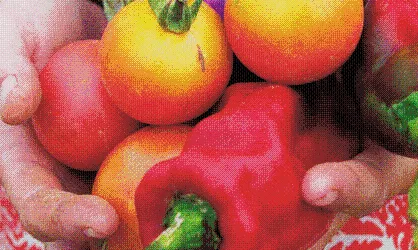 Custòdia Agrària (foto: IAEDEN)