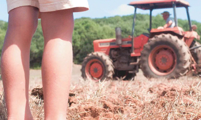 Custòdia Agrària (foto: IAEDEN)