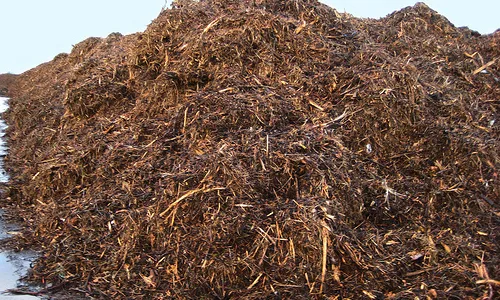 Imatge de biomassa de la galeria d'imatges de Recycling-centrum Flickr