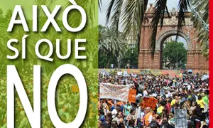 Fotografia manifestació 20 de maig