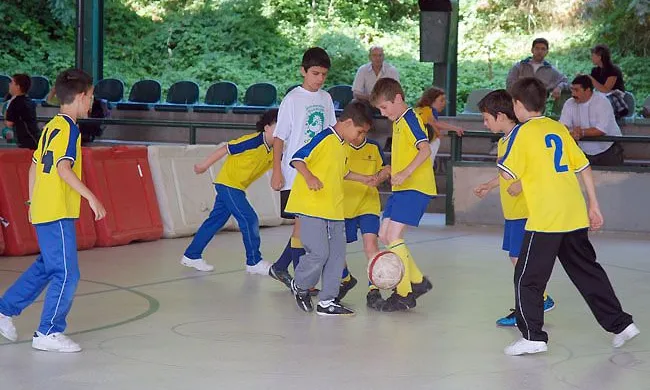 Entitats esportives
