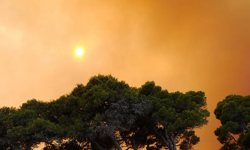 Incendi Alt Empordà 2012 (foto: flickr, garzhia)