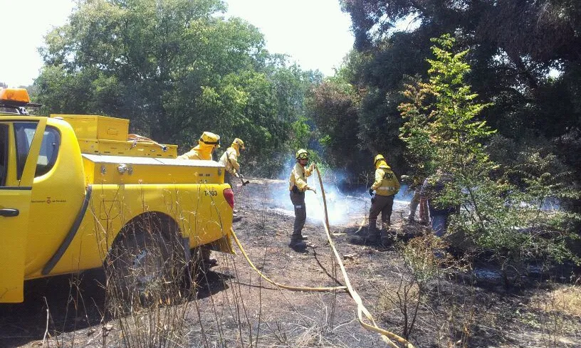 Voluntaris Forestals de Terrassa, visitant les zones cremades de l'Empordà..