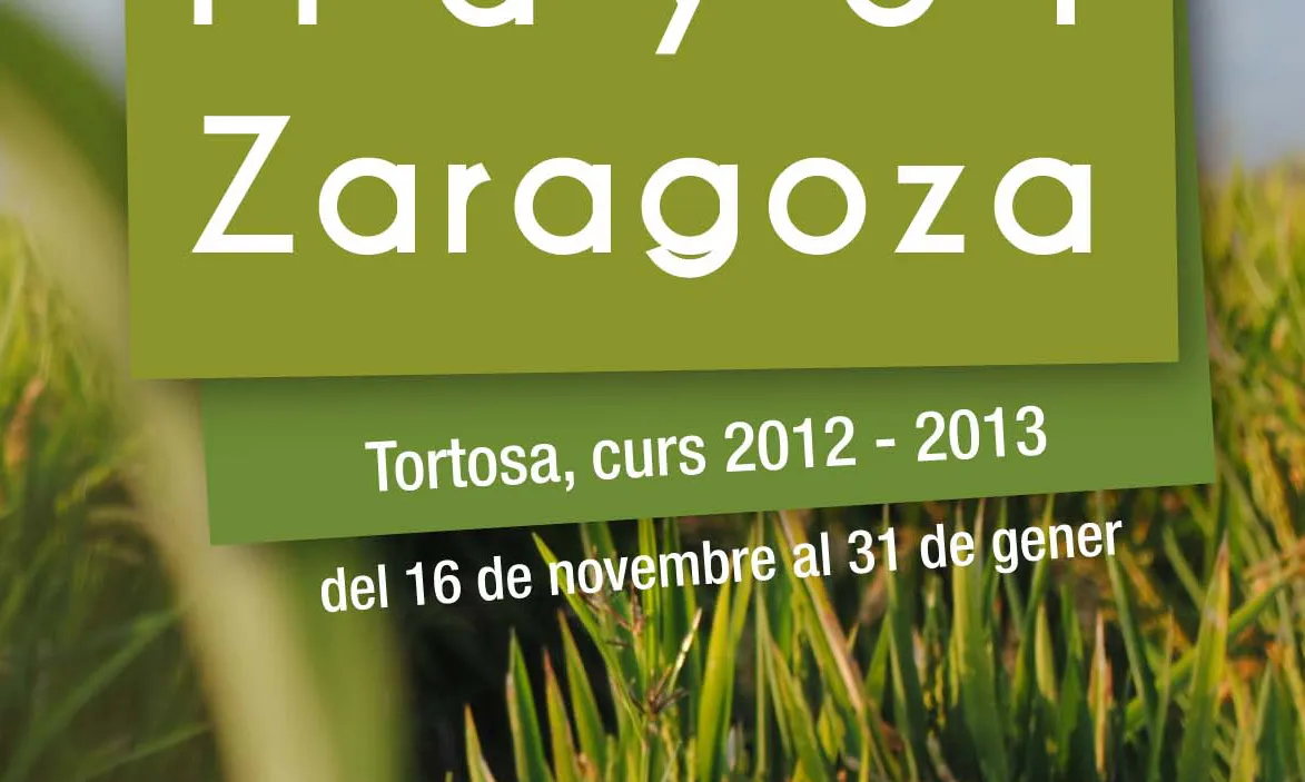 El projecte d'aprenentatge i servei  ‘Mirades’ guanya en la categoria d'entitats