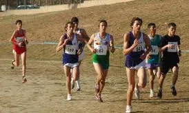 Activitat esportiva