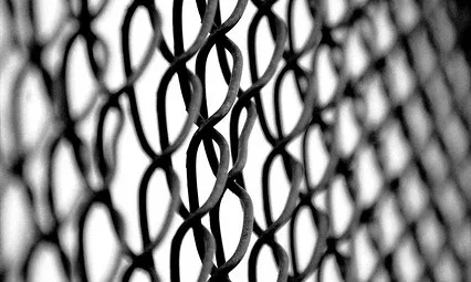 Protecció_DonkerDink_Flickr Protecció_DonkerDink_Flickr