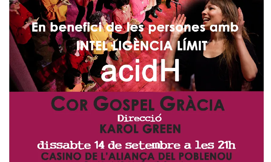 Cartell del concert