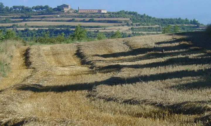 Tardor, hivern, primavera, estiu a l'entorn del Miracle