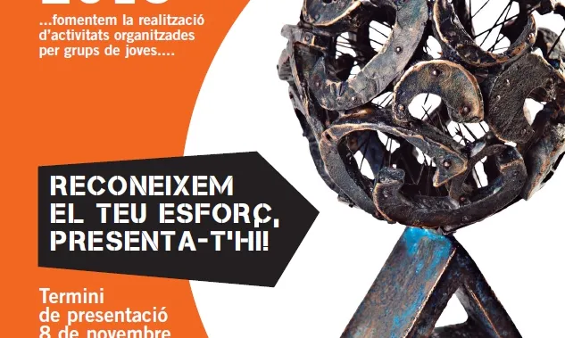 Premi Jove, proposa! 2013 Premi Jove, proposa! 2013