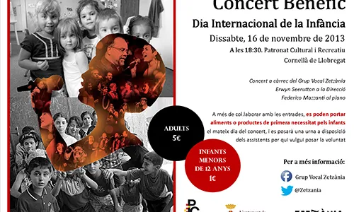 Imatge cartell concert benèfic 