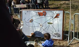 Activitats a Badalona. Font: XPN