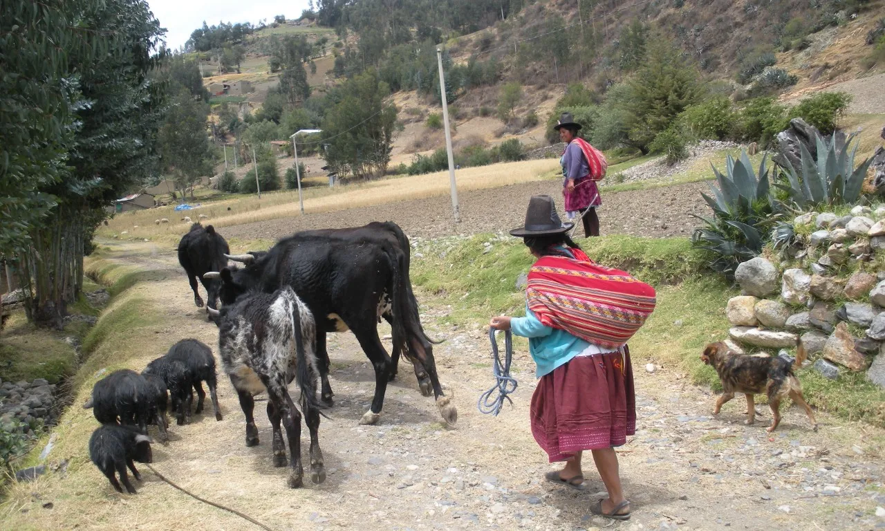 Comunitat d'Huapra, als Andes Peruans (Font: Lluís Miquel Pla)