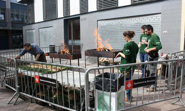 Preparatius de la calçotada popular de La Verdinada 2013