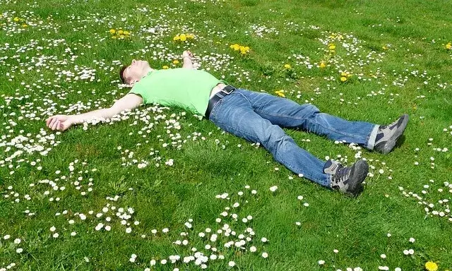 Curs sobre relaxació.   Font: pixabay.com