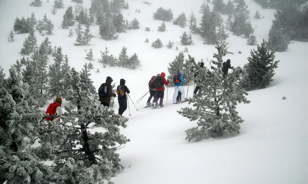 Excursió de Balmes Blancs