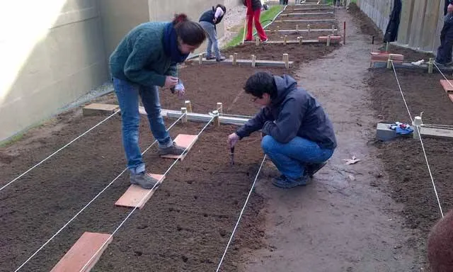 Espai Gardenyes i el seu hort urbà