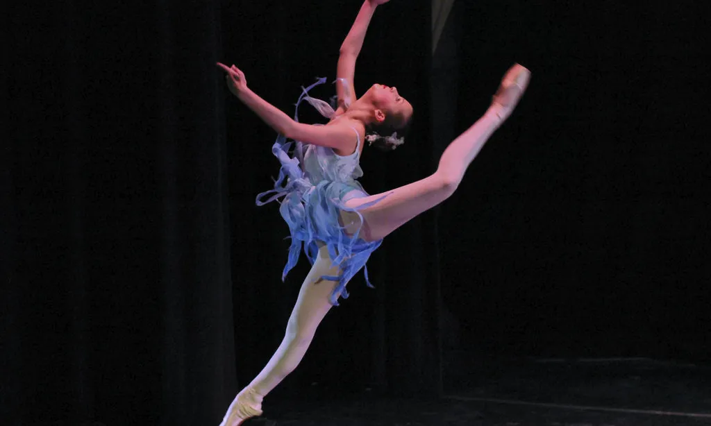 Grace_in_winter,_contemporary_ballet. Font: ca.wikipedia.org Grace_in_winter,_contemporary_ballet. Font: ca.wikipedia.org