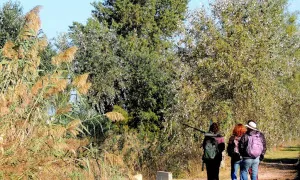 6a Marató ornitològica cooperativa al Delta del Llobregat 