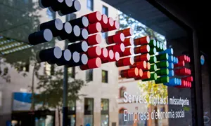Apunts:Empresa d'Economia Social