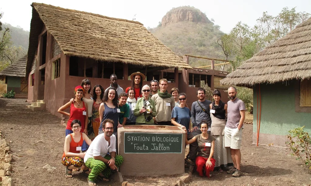 Un estiu amb l'equip de Jane Goodall, ximpanzés i més, a la selva africana