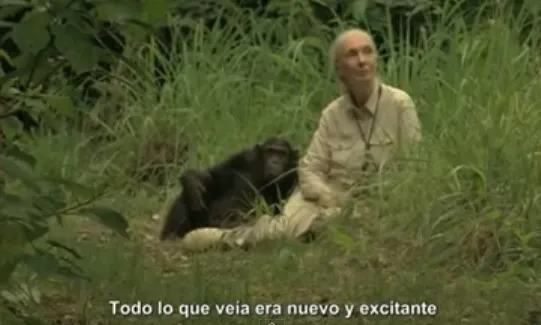 La conservacionista i activista Jane Goodall fa 80 anys a Catalunya