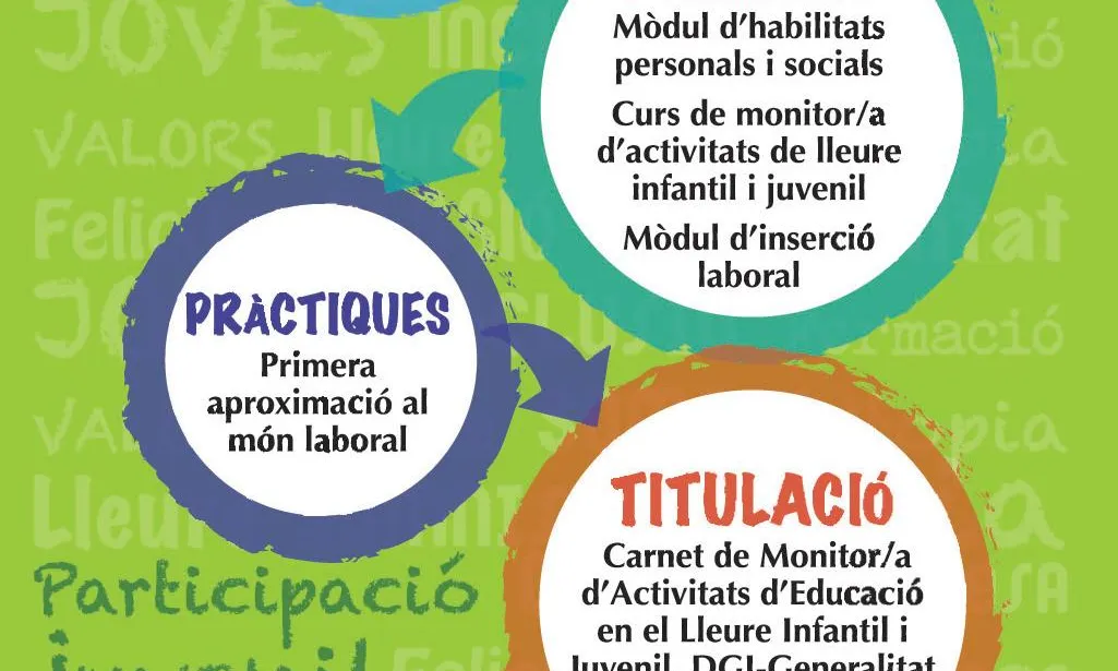 Fases del programa Tresca Jove. Font: Fundesplai