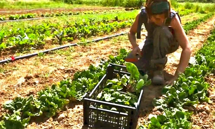 Hort social de Tarpuna