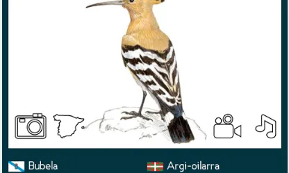 "Las Aves de España" de SEO/Birdlife