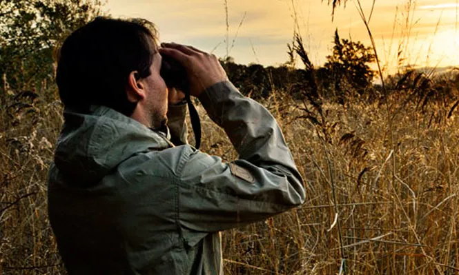 (imatge: Delta Birding Festival)