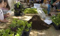 (imatge: Aplec d'Agricultura Urbana)