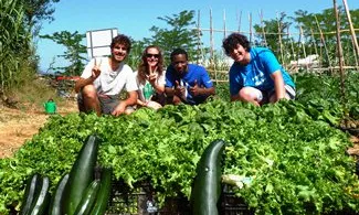 Grup de voluntariat al Hort Eco-solidari de la UdG (Font: UdG)
