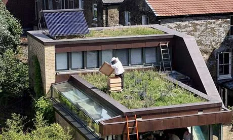 Apicultor a un terrat de la ciutat de Londres (imatge; theguardian.com)
