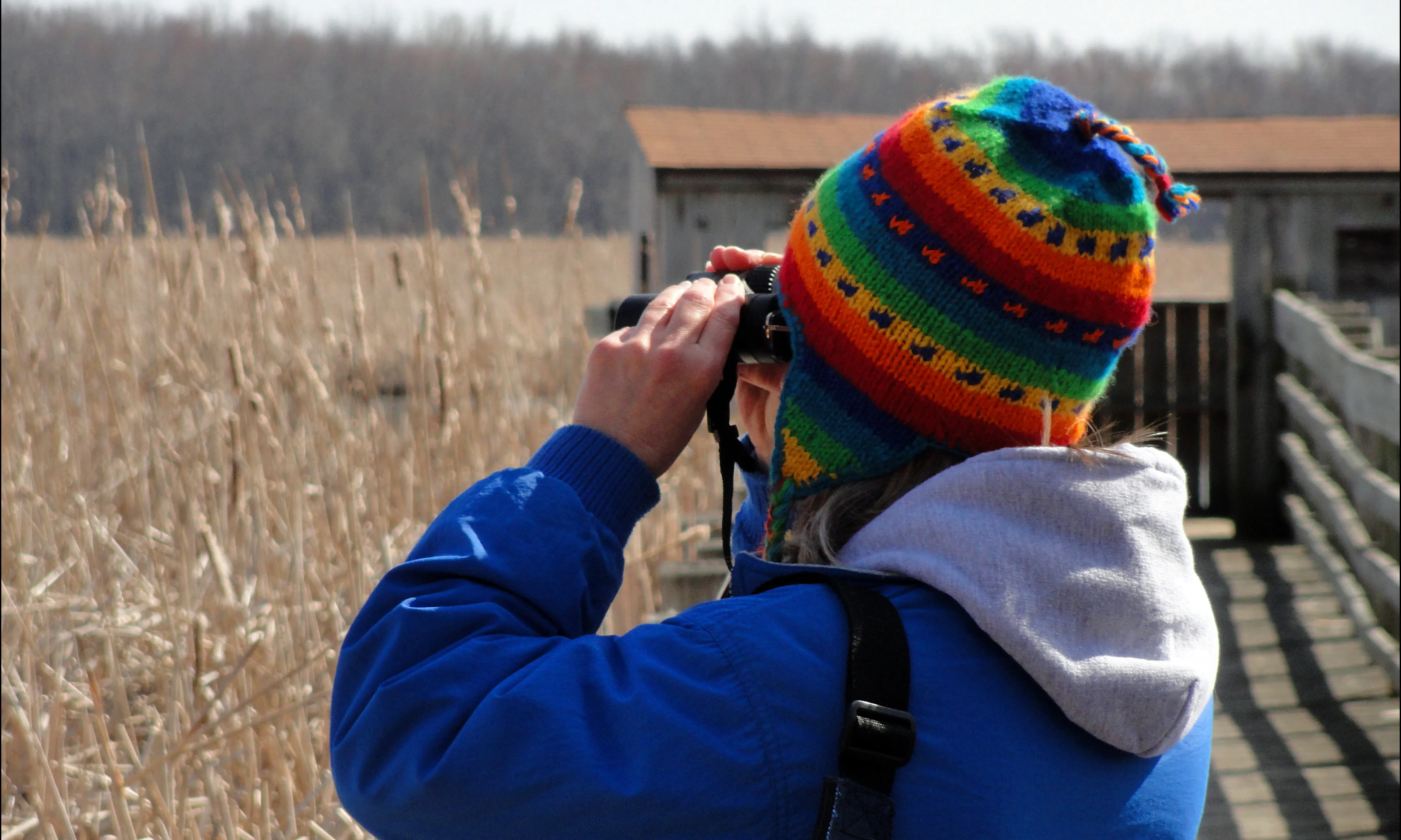 Birdwatching, una activitat terapèutica a l'aire lliure (imatge:filckr/jowo)