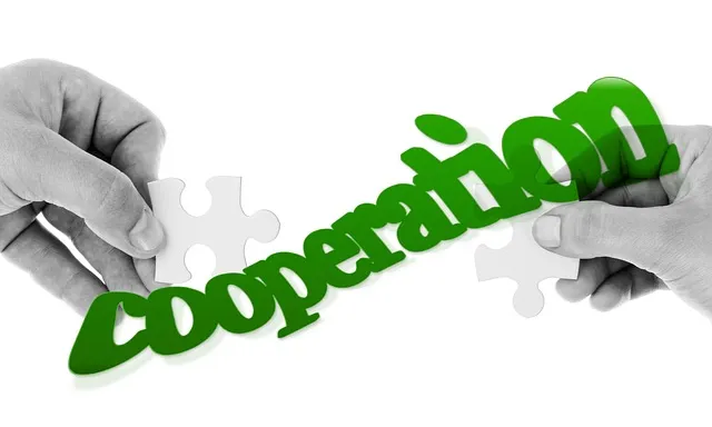 Cooperació - Font: pixabay.com