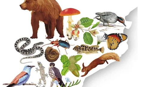 Guia pràctica per conèixer la natura de Catalunya de l'IPCENA (imatge; ipcena.org)