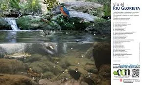 Pòster de la biodiversitat del riu Glorieta a les Muntanyes de Prades (imatge; assoc-cen.org)